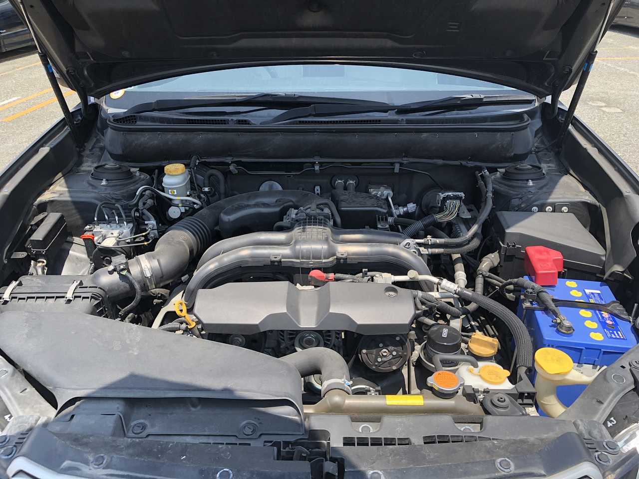 SUBARU OUTBACK